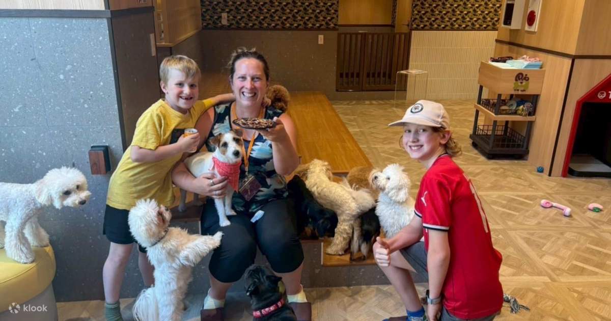 Jouer avec des chiens au Dog Cafe Rio Kyoto[Dog Cafe Rio Kyoto] - Klook